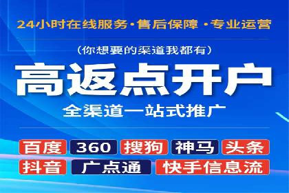 行业领先企业的SEM代理案例剖析